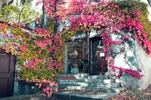 欧洲篮球联赛老牌豪强华沙军团再度夺冠