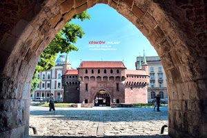 意大利球队的表现备受关注，为争夺荣耀拼尽全力