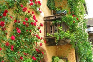 惊心动魄比赛：绝杀一球，晋级四强！